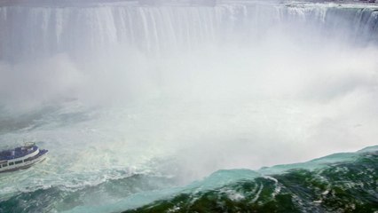 Nature, le retour du sauvage