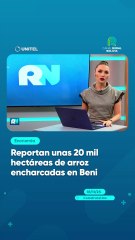 Reportan unas 20 mil hectáreas de arroz encharcadas en Beni