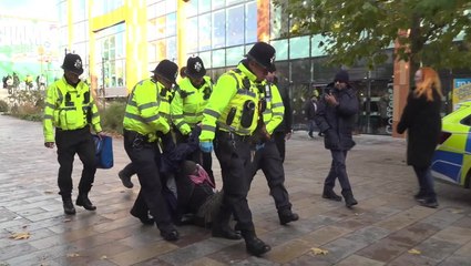 Pro-Palestine supporters carried away by police at Nottingham protest