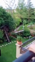 Forever If Only Full Movies English Sub