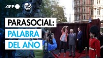 “Parasocial” es elegida palabra del año por el diccionario de Cambridge