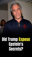 Jeffrey Epstein 'Believed' Donald Trump 'Alerted Police' About His Trafficking Scheme Amid Their 'Exploding Feud,' Michael Wolff Claims