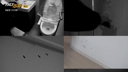 부실로 얼룩진 신축의 꿈 [오늘 밤 팩트추적] / YTN