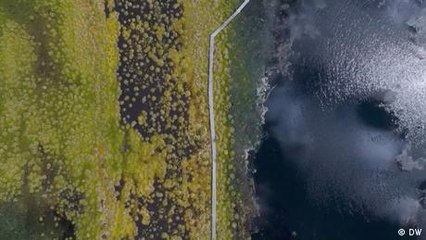 Los países en el flanco oriental de la OTAN ven en los humedales una herramienta defensiva ante el temor de una posible invasión rusa.
