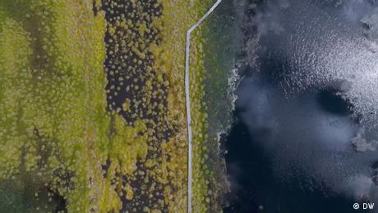 Los países en el flanco oriental de la OTAN ven en los humedales una herramienta defensiva ante el temor de una posible invasión rusa.