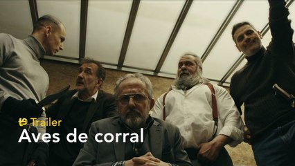 Aves de corral - Trailer