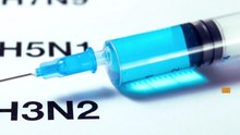 Facts:  Flu Shot And Side Effects