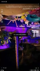 Wild Ride with the Dangerous Kian – Full Mafia Bad-Boy Road Romance Movie 2025