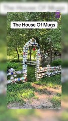 هل أنت من هواة جمع الأكواب؟ هذا الفيديو لك!