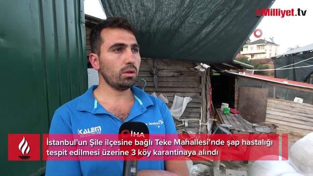 İstanbul'da şap alarmı! 21 mahalleye giriş çıkışlar kapatıldı