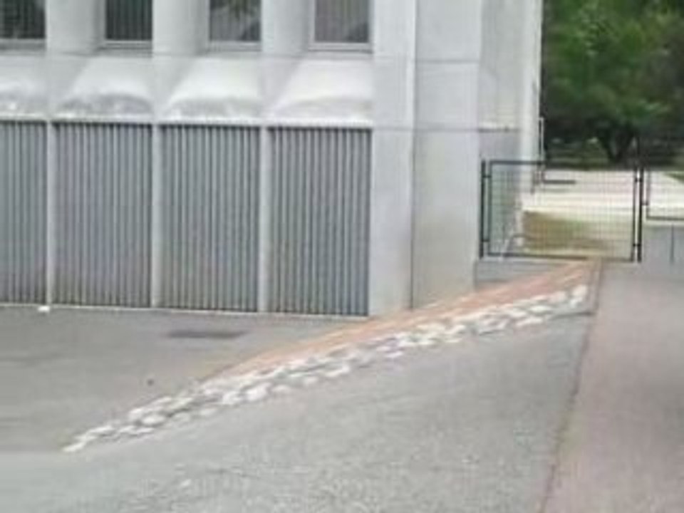 Moi bunny whip école