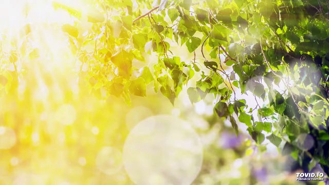 010שער העקודים פרק ב | Harav ariel sibeoni | Kabbale | secrets de la Torah | ochrot hayim