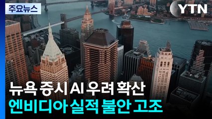 뉴욕 증시 'AI 거품' 우려 확산...엔비디아 실적 발표 앞두고 불안 고조 / YTN