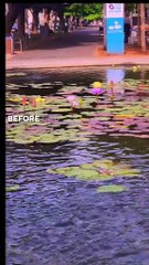 God has a purpose for everything