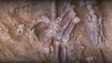 Excavation Reveals Neanderthal Skeleton In Iraq