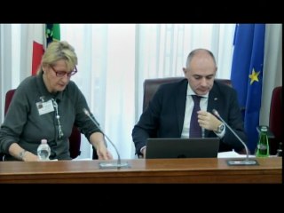 Roma - Audizioni Montigiani, Ricci e C. Casini (18.11.25)
