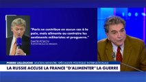 Pierre Lellouche : «De mon point de vue, c'est totalement délirant.»