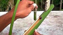 The Power of Bamboo