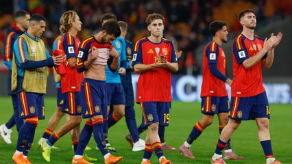 Así fue la celebración de España en el césped de La Cartuja: objetivo cumplido