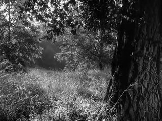 Alice In Wonderland (1966)