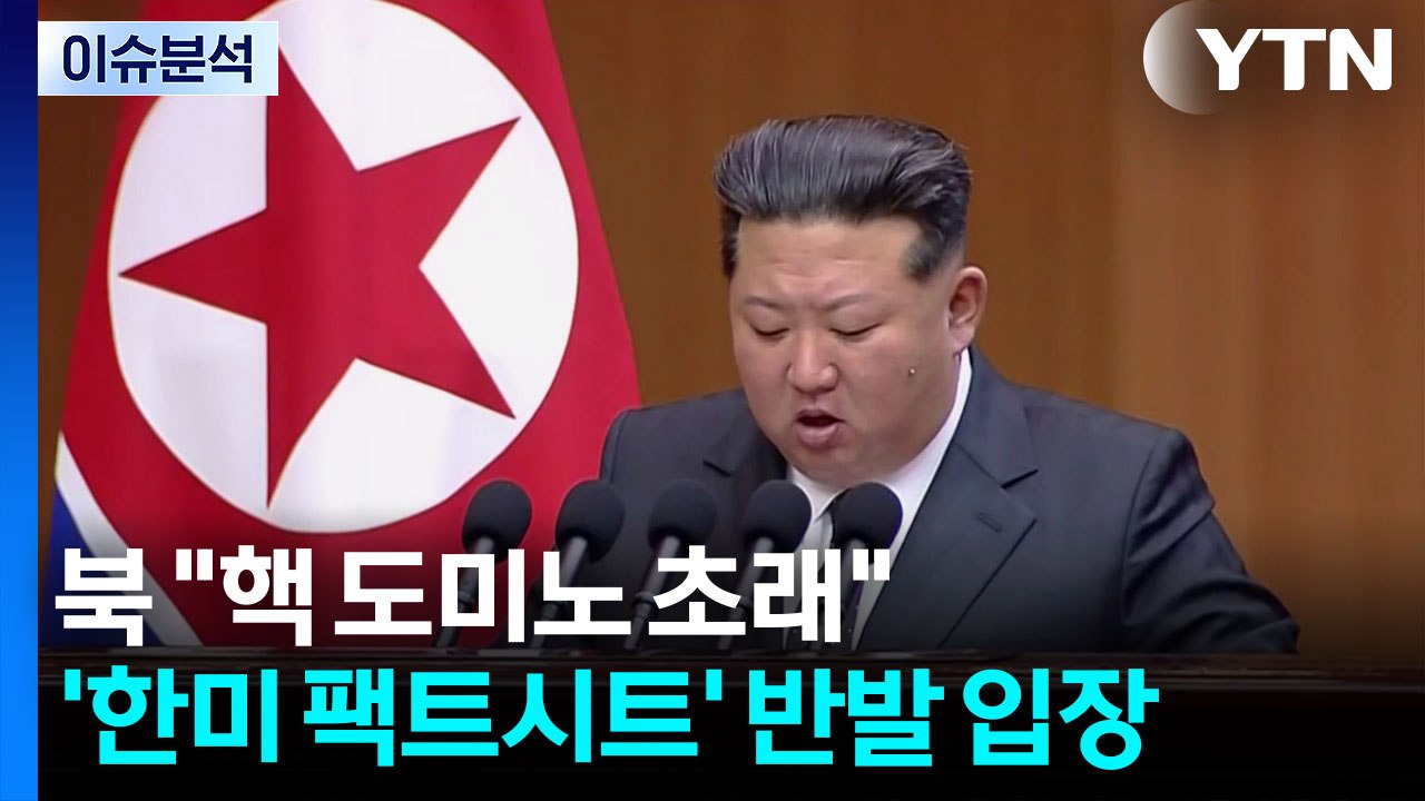 [뉴스UP] 북 "핵 도미노 초래"...'한미 팩트시트' 첫 반발 입장 / YTN