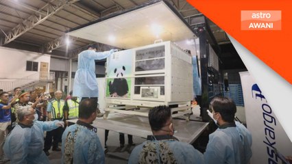 Chen Xing & Xiao Yue selamat tiba di Malaysia