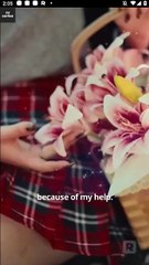 Never Reject A Wolf Princess Full Movie