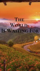 White and Orange Simple Travel Quote Inspiration Mobile Video