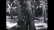 Bức Tranh Để Lại (1970) [Phim Việt Nam Full HD] - Thuyết Minh