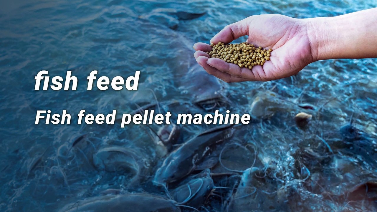 Boost Your Aquafeed Production with RICHI Fish Feed Pellet Extruder!