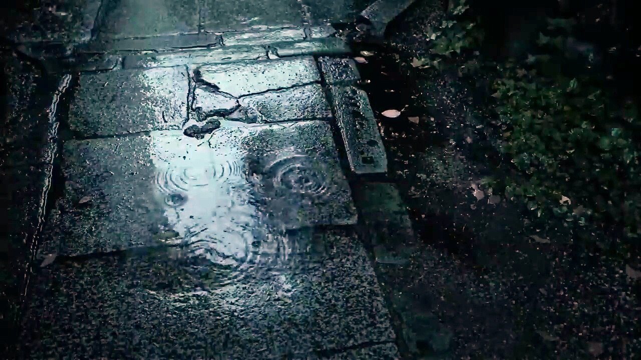 Gentle Rain & Wind Chimes | Real Rain & Wind Chimes for Sleeping & Relaxation