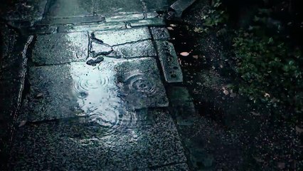 Gentle Rain & Wind Chimes | Real Rain & Wind Chimes for Sleeping & Relaxation