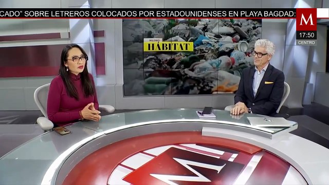 Mariposas monarca llegan retrasadas a sus santuarios de hibernación | Milenio Hábitat