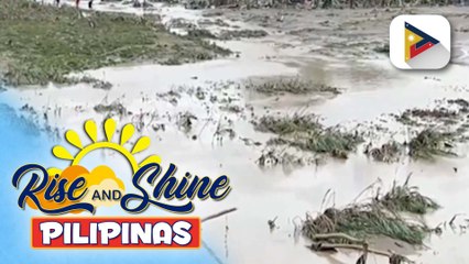 Kaso ng may leptospirosis sa Cebu, tumaas