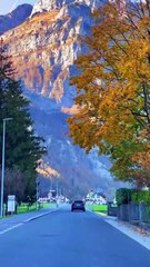 Relaxing Nature Ambience – Peaceful Cinematic Scenery