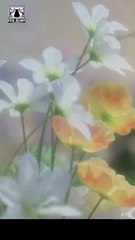 Super Godfather My Ex Begs Me on Her Knees Full 🍒