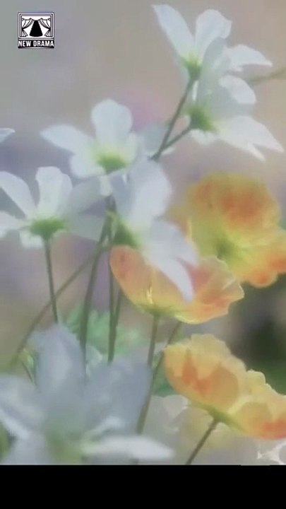 Super Godfather My Ex Begs Me on Her Knees Full 🍒