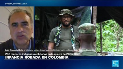 Luis Eduardo Celis: "Hay que contener a las guerrillas, pero los bombardeos causan muchos daños"