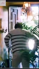 Bossy Ceo Loves A Menopausal Me - Full Episodes