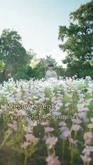 Little Cupid's Knock.. Love Marked by Fate All Episodes - ReelShort CN- #abel