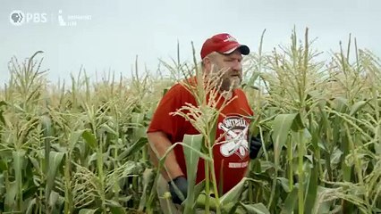 Greener Pastures | movie | 2024 | Official Trailer