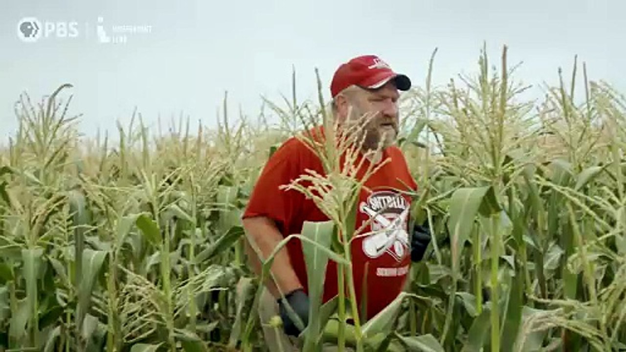 Greener Pastures | movie | 2024 | Official Trailer