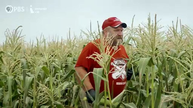 Greener Pastures | movie | 2024 | Official Trailer