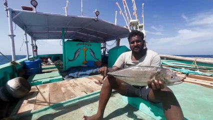 Elite Gulf Waters Hunt — Capturing the Ultimate Ocean Predator