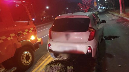 음주 운전하다 도로 연석 '쾅'...도주한 20대 검거 / YTN