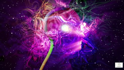 “How Your Mind Affects Your Body in Terminal Illness — Gentle Insights for Strength & Peace”