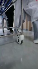 I Said Yes To Danger - Full Episodes