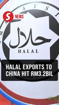 Halal exports to China rose to RM3.2bil due to strategic cooperation, says Zahid