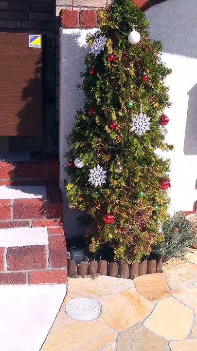 クリスマス飾り2025