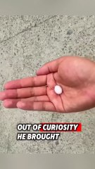 The kind man found a birds egg, and then this happened #rescue #birds